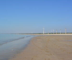 Mandvi Beach – A Calm Coastal Escape in Kutch, Gujarat