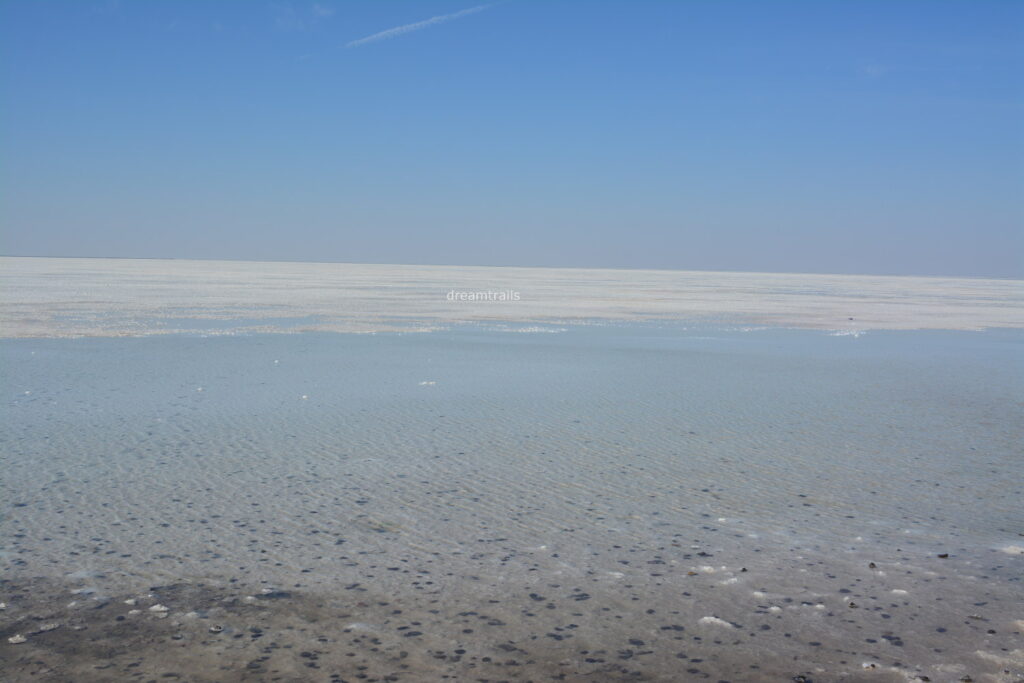 White Rann of Kutch, Gujarat
